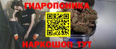 spice Мариинск