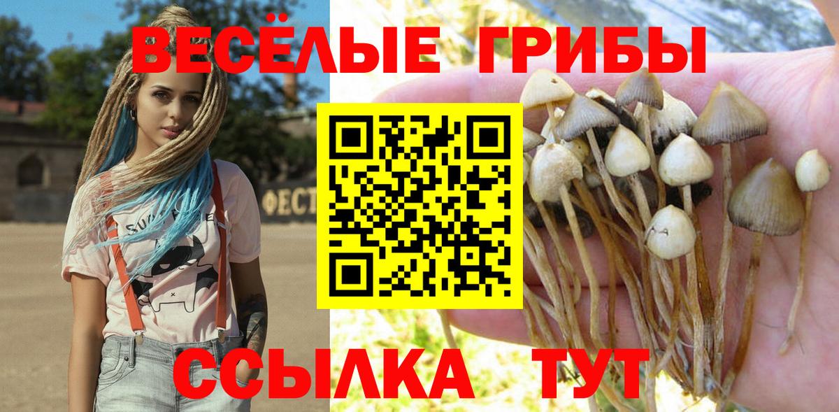 Галлюциногенные грибы Самара